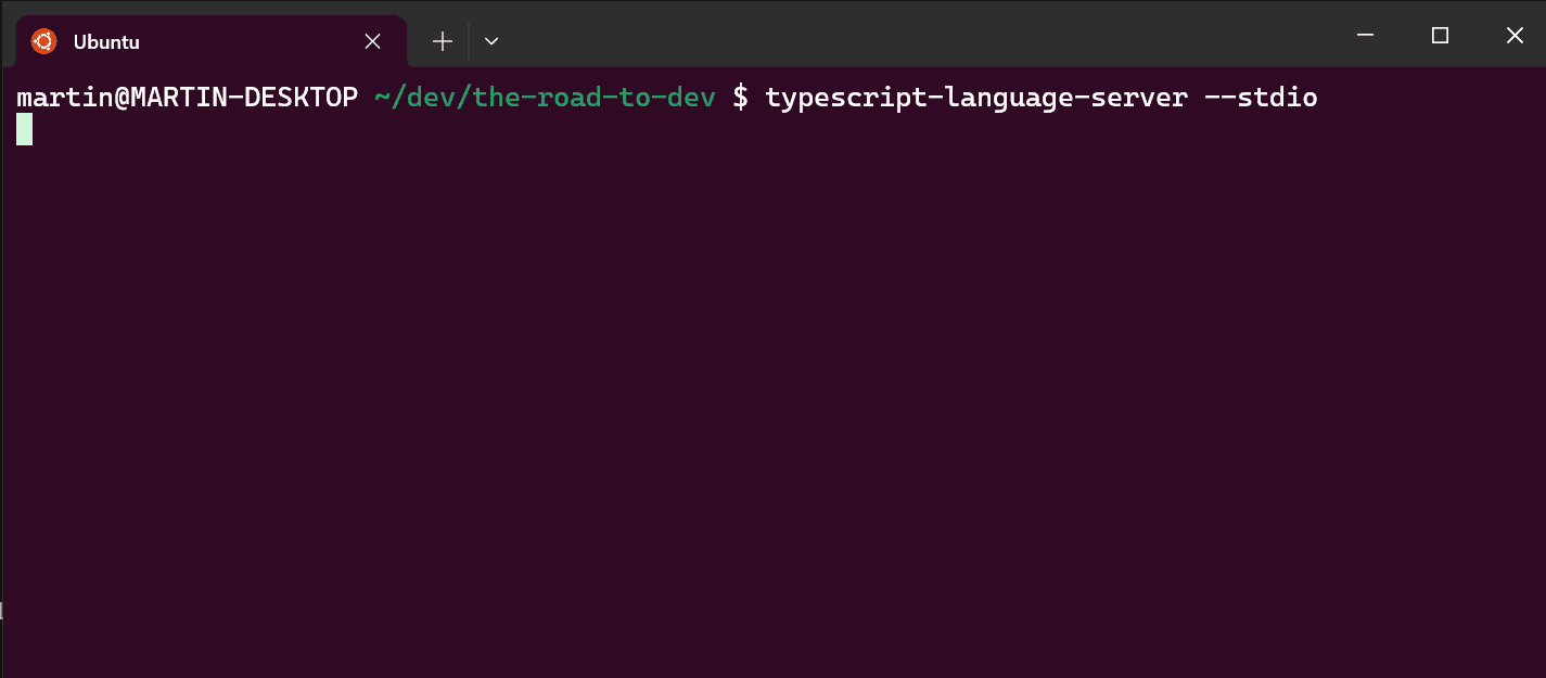 Typescript LSP Server Running